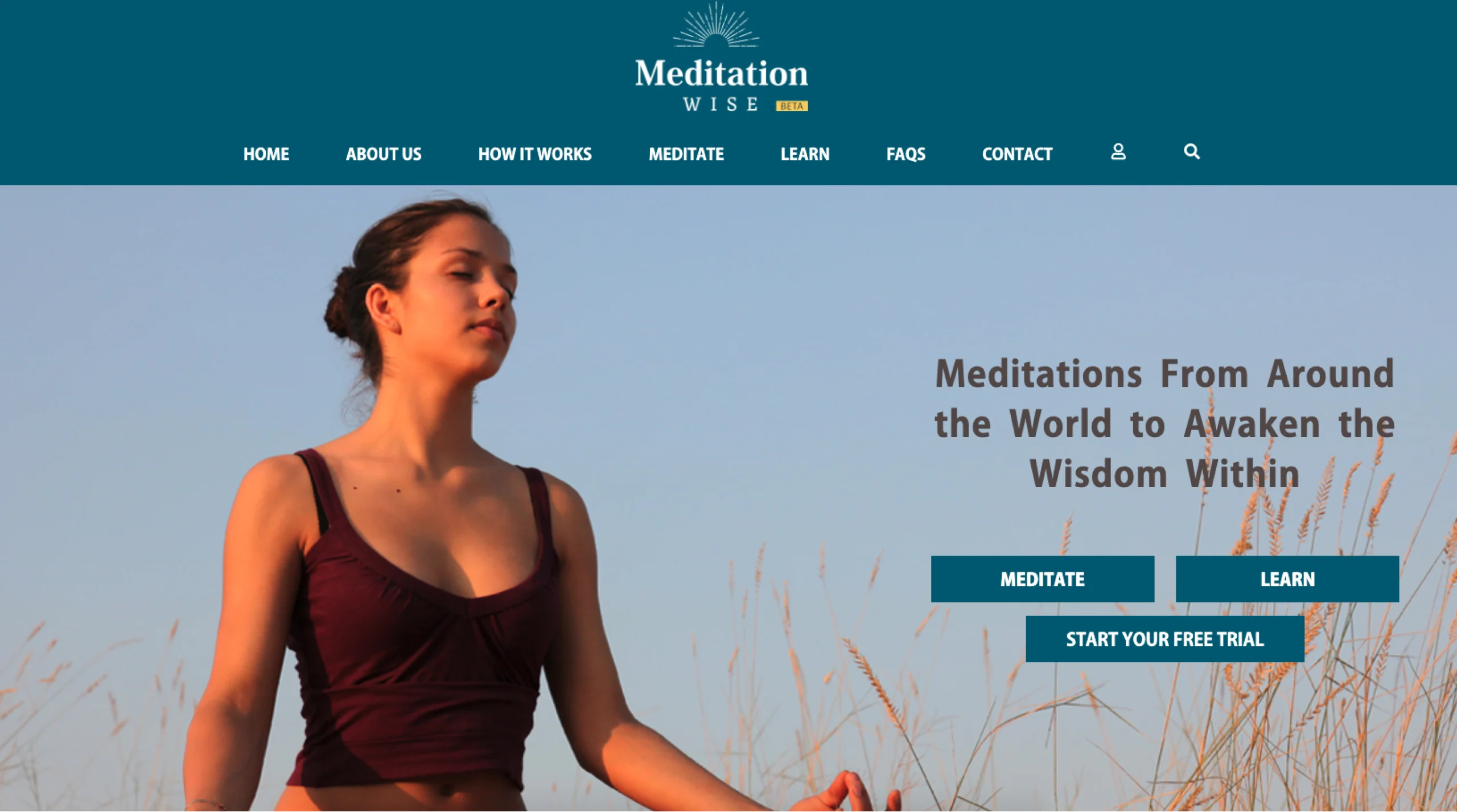 MeditationWise