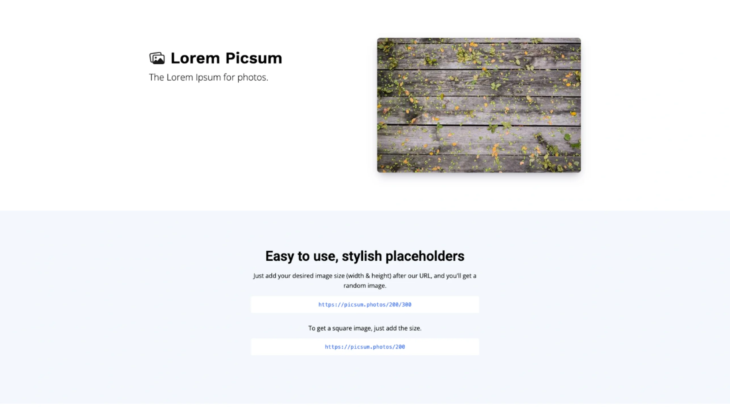 Picsum Photos