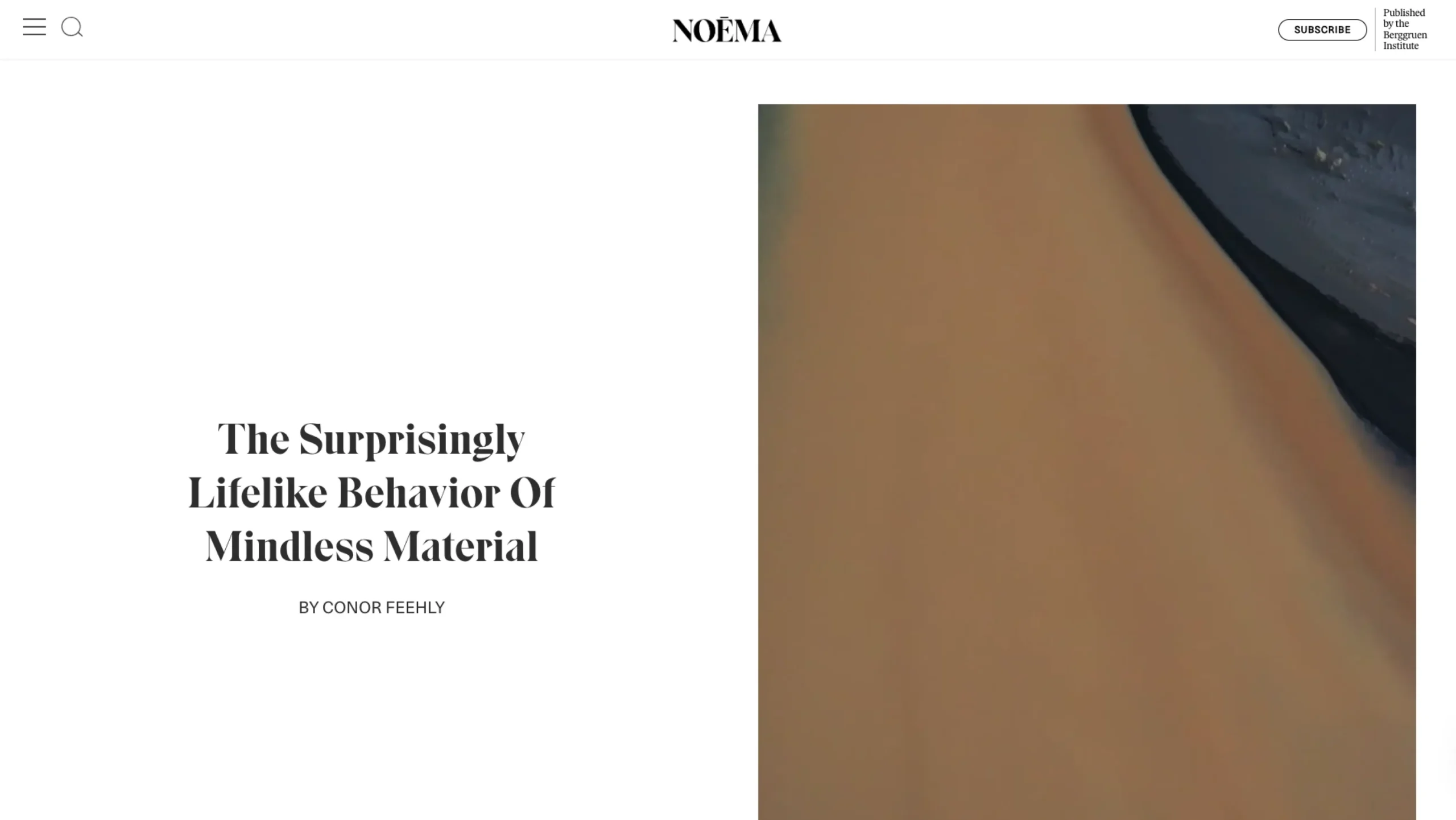 Noema Magazine
