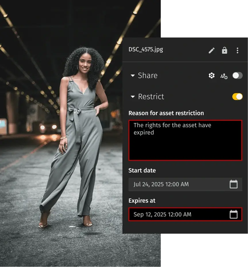 Built-In Digital Rights Management