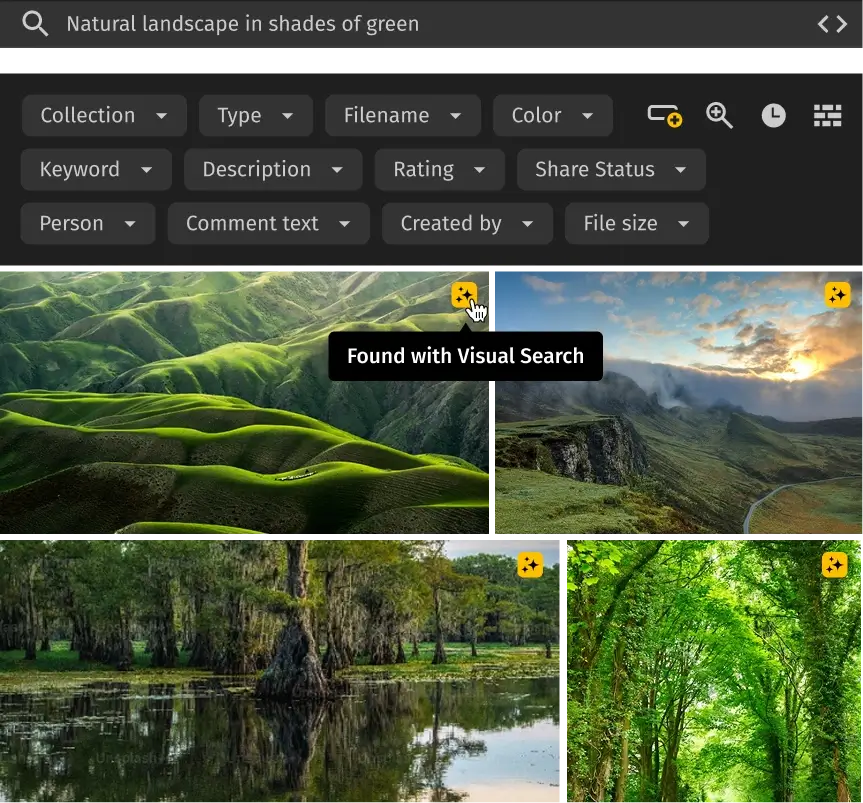 Pics.io is a powerful search