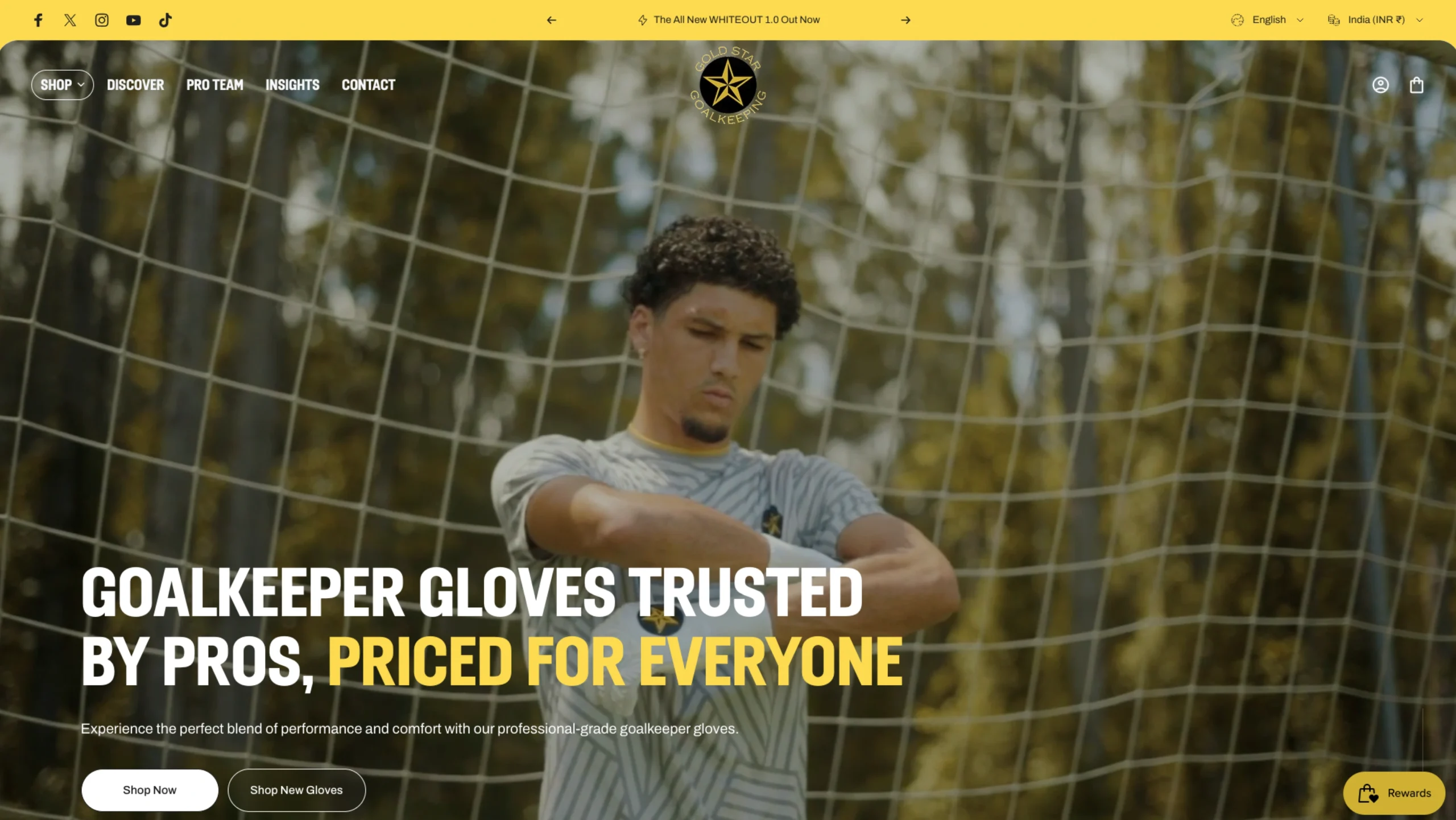 Gold Star Goalkeeping