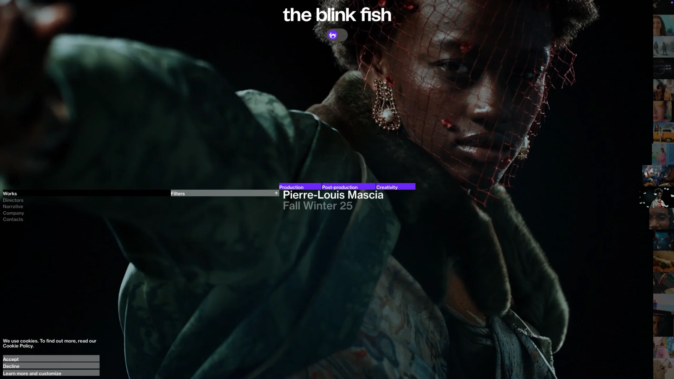 The Blinkfish