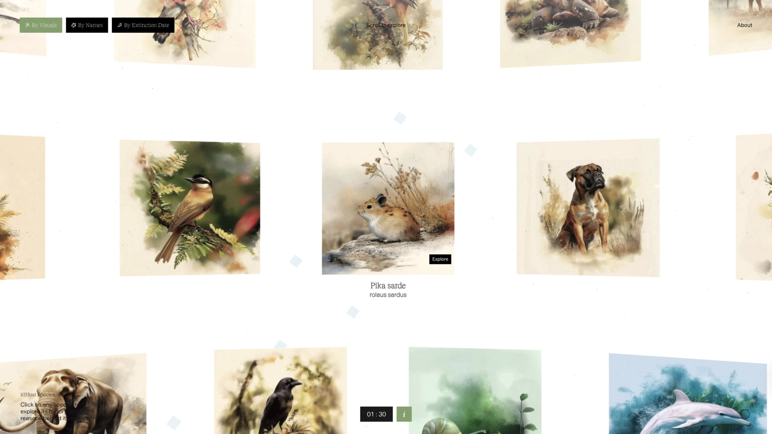 The Search for Lost Species