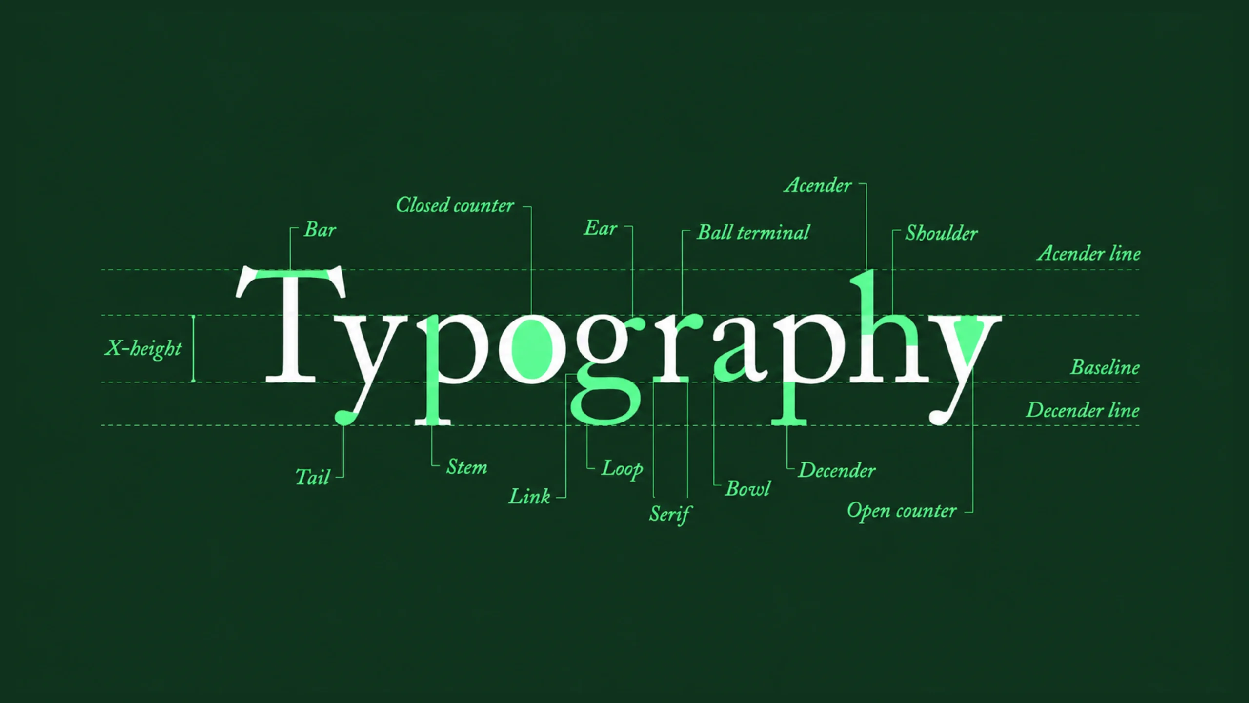 Typography