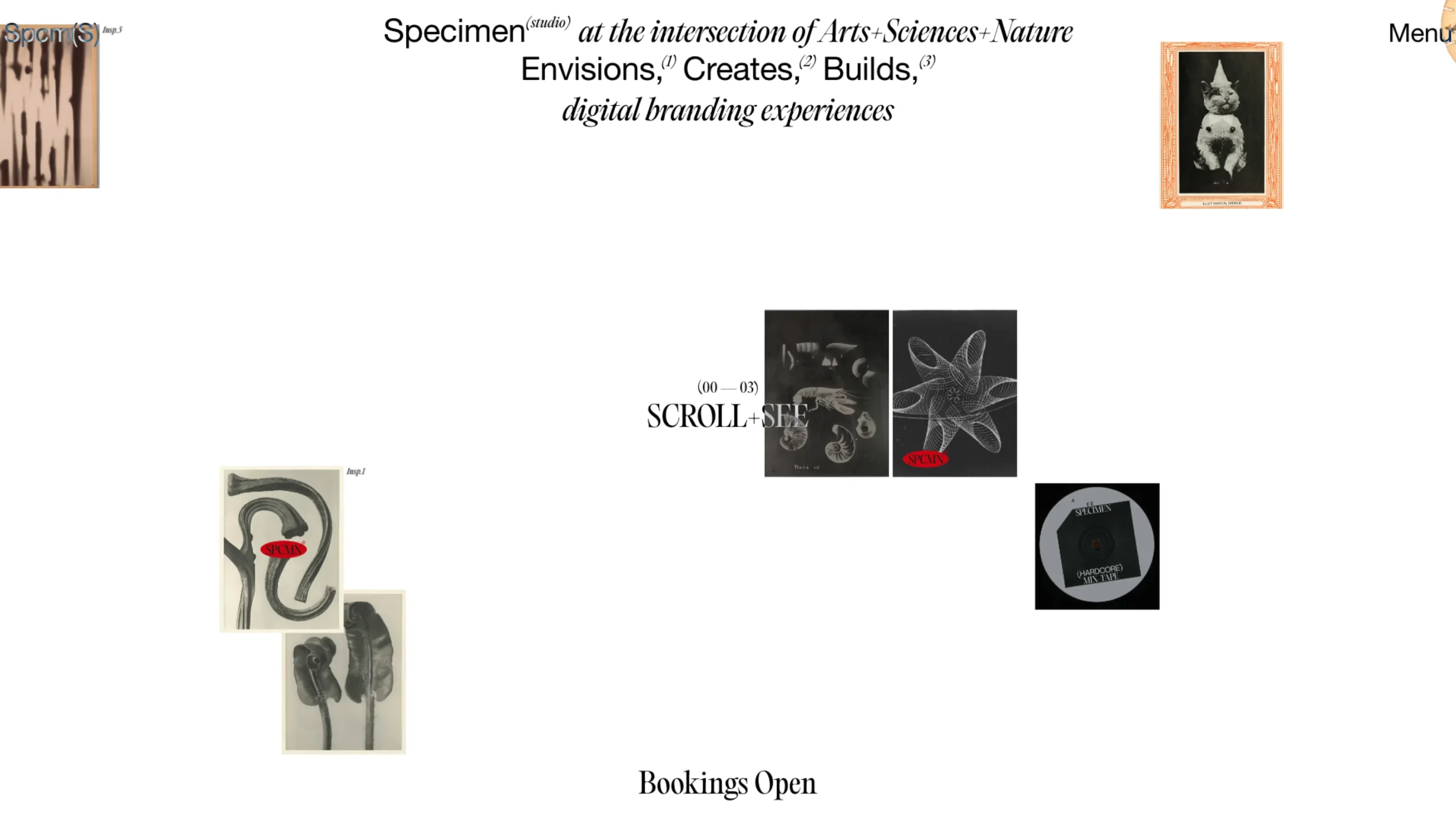 Specimen Studio